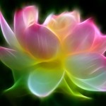 oneness-lotus