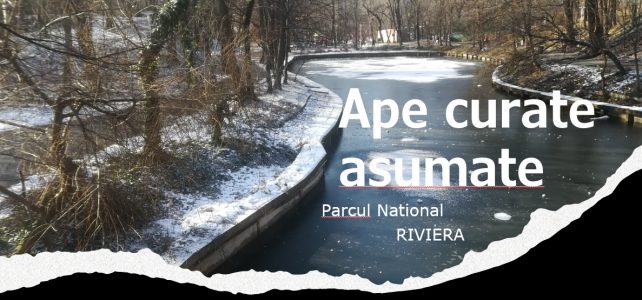 “Ape curate asumate” – ianuarie in Parcul National Riviera, Bucuresti