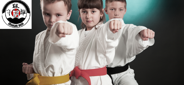 Cum devii un “razboinic pasnic” participand la cursurile de karate Wado Ryu pentru copii si adulti. Clubul Shuhari Bucuresti