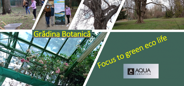 „Focus to Green Eco Life” susține startul curăţeniei de primăvară la Grădina Botanică