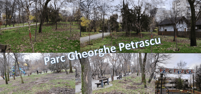 Solidaritatea dintre om şi natură se transformă ȋn responsabilitate la “Focus to green eco life”