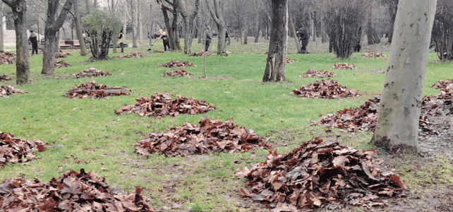 Apa deschide uşa solidarităţii om-natură, prin #focustogreenecolife