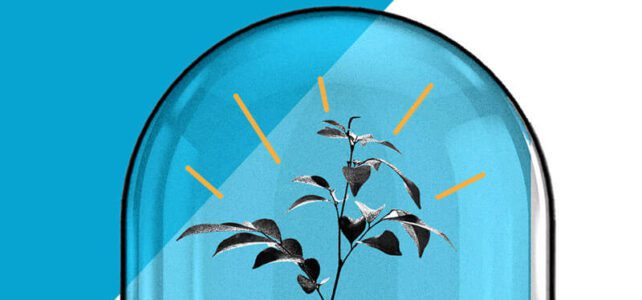 Reciclare Creativă inspirată de Ziua Copiilor Inventatori #focustogreenecolife