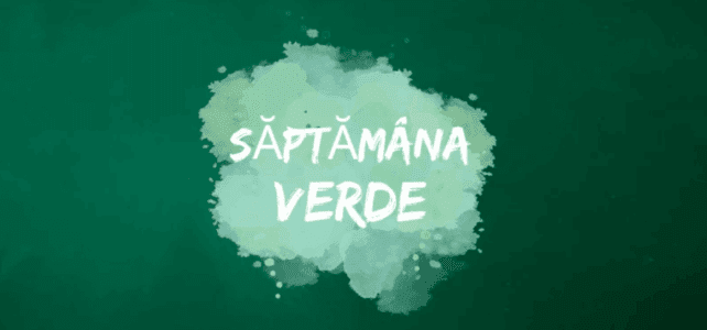 „Săptămâna Verde” aduce Spațiul Arborilor mai aproape de copii, la #FocusToGreenEcoLife